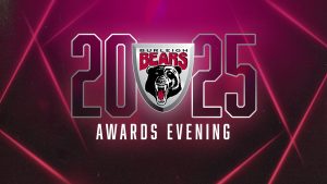 2025 Best and fairest Awards