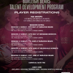 Player Information Posters